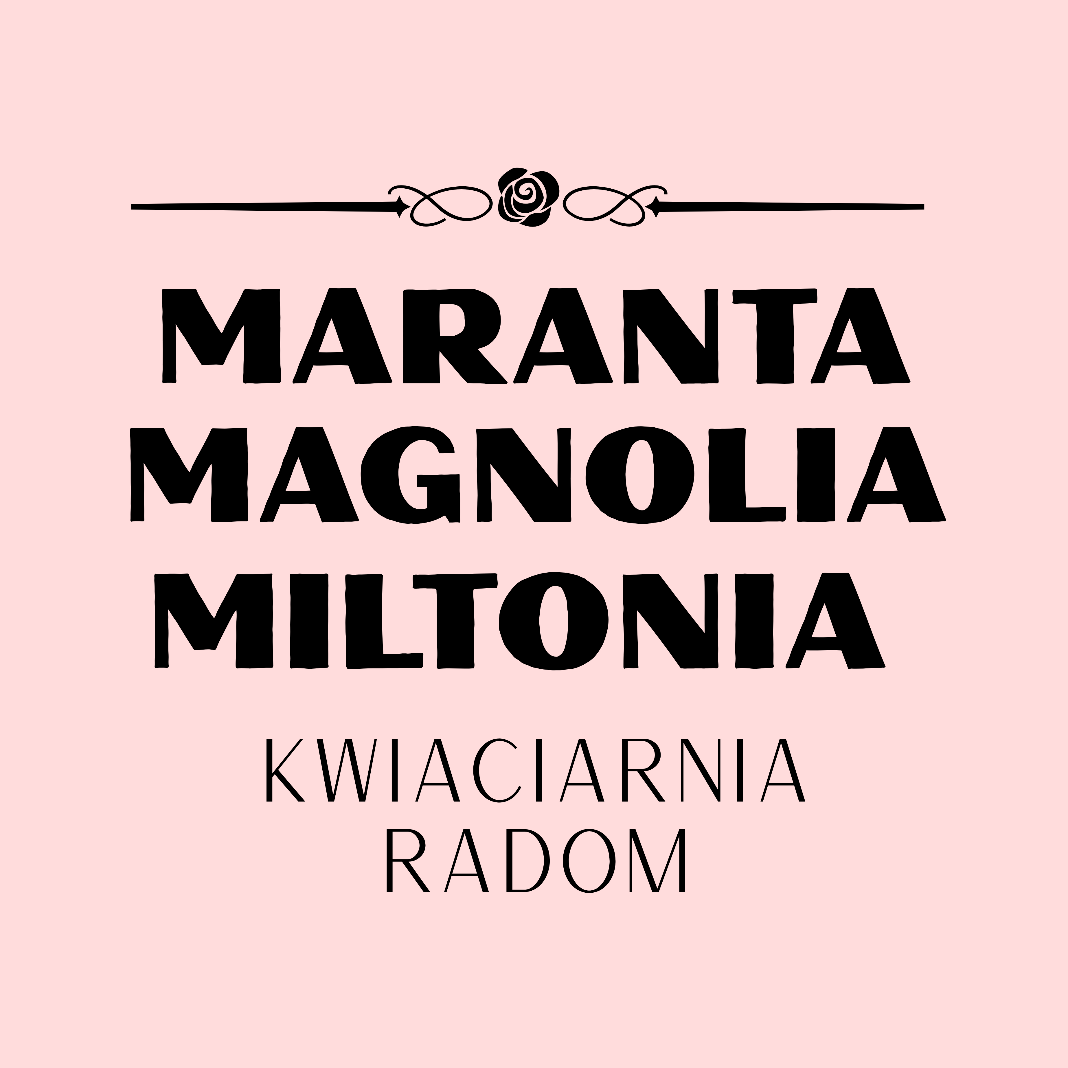 Logo sponsora